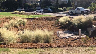 Bioretention after construction in Raleigh, NC