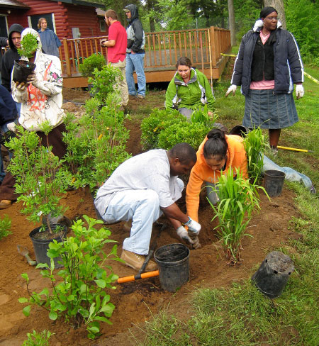 planting a rain garden