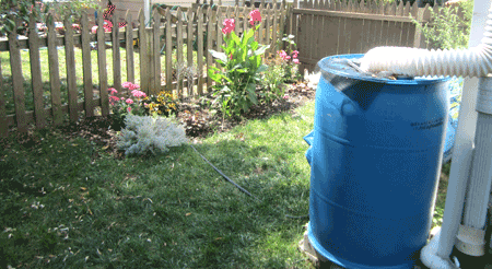 rain barrel