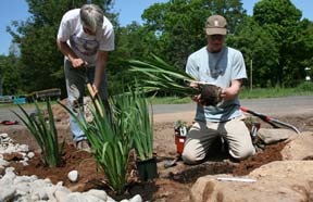 rain garden installation