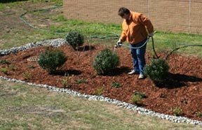 Watering plants
