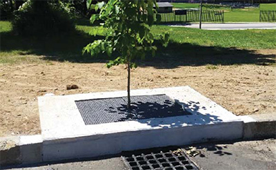 tree box filter